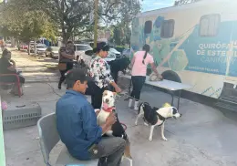 Distrito de Salud 04 invita a la esterilización de mascotas en Cajeme