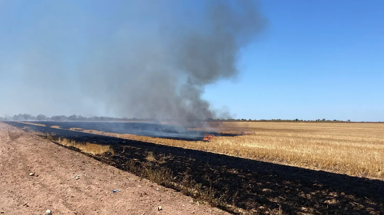 Piden actuar ante quema de gavilla en Navojoa