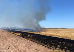 Piden actuar ante quema de gavilla en Navojoa