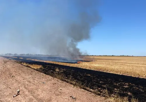 Piden actuar ante quema de gavilla en Navojoa