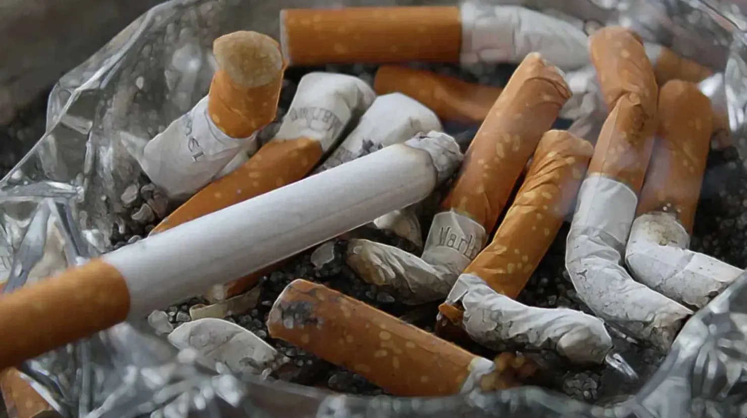 Día Mundial sin Tabaco: ¿Por qué se celebra hoy y cómo se puede dejar de fumar?