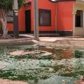 Viven entre aguas negras en la colonia Nueva Palmira