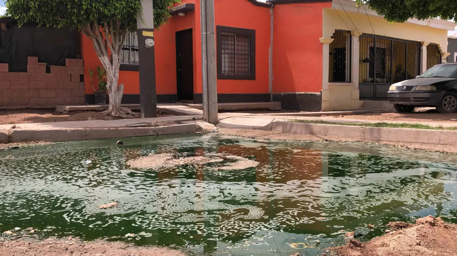 Viven entre aguas negras en la colonia Nueva Palmira