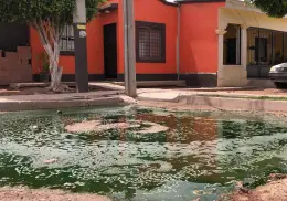 Viven entre aguas negras en la colonia Nueva Palmira