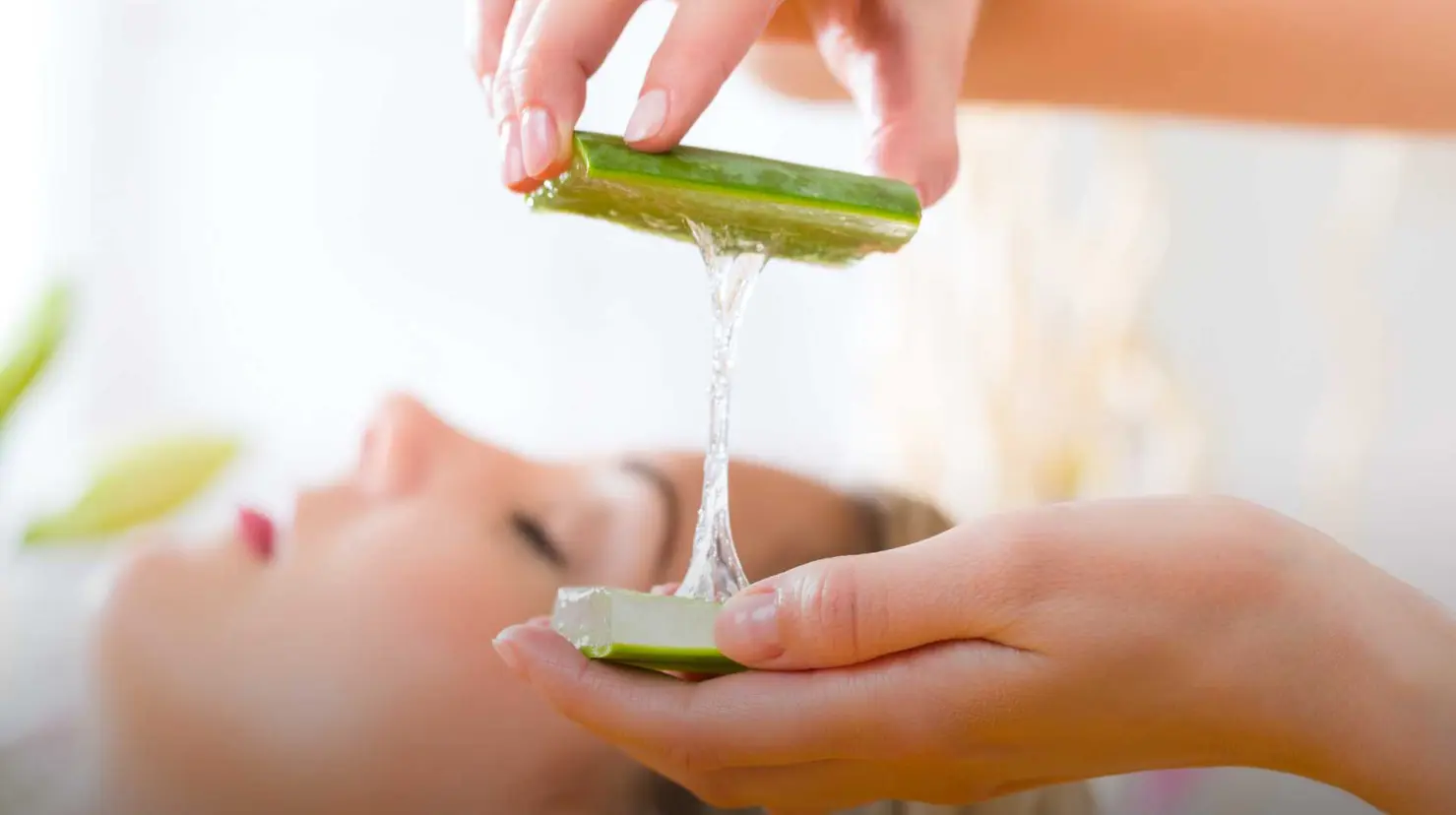 Aloe vera casero: ¿cómo hacer una crema que regenera y protege tu piel?
