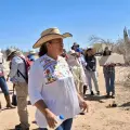 Investigan escasez de la pitahaya en el sur de Sonora