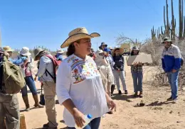 Investigan escasez de la pitahaya en el sur de Sonora