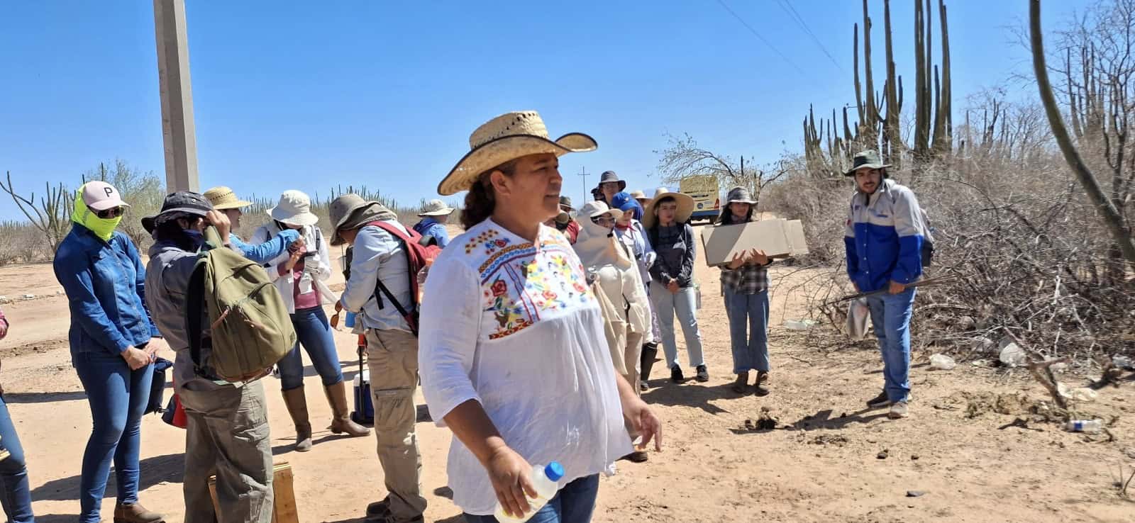 Investigan escasez de la pitahaya en el sur de Sonora