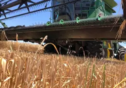 Dependen molinos de importaciones