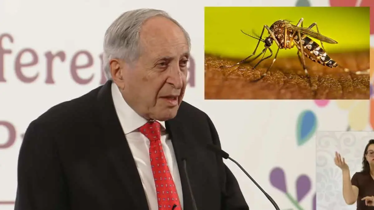 Estos son los estados con más casos de dengue en México; conoce los síntomas y cómo prevenirlo