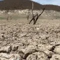 Sistema de presas en el Valle del Mayo sin beneficio tras primeras lluvias