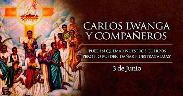 imagen-cuerpo imagen-cuerpo