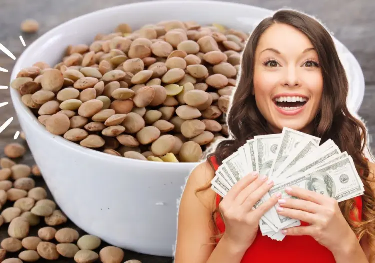 Haz este ritual con lentejas para atraer el dinero y la abundancia a tu vida, según del Feng Shui
