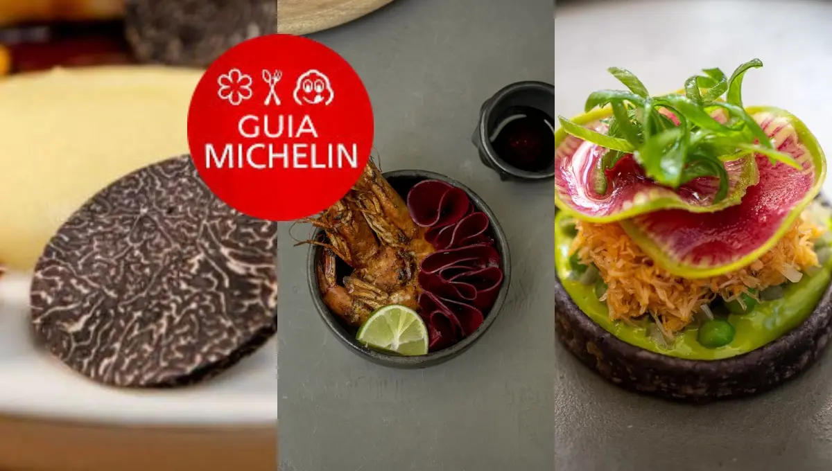 Conoce los restaurantes de México que ingresaron a la Guía Michelin 2025. Foto: Original