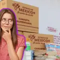 Alimentación Bienestar Edomex: conoce todos los productos que vienen en estas despensas