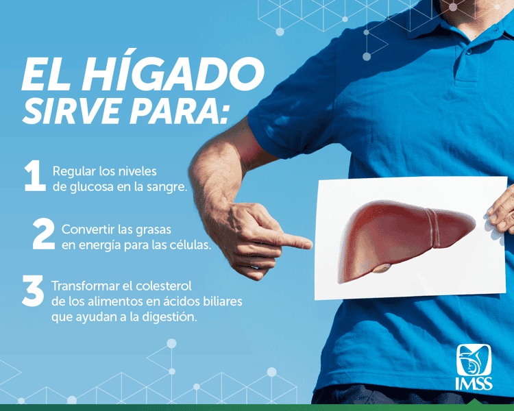 imagen-cuerpo imagen-cuerpo