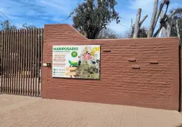 Recientes lluvias favorecen la reproducción de las mariposas Cuatro Espejos