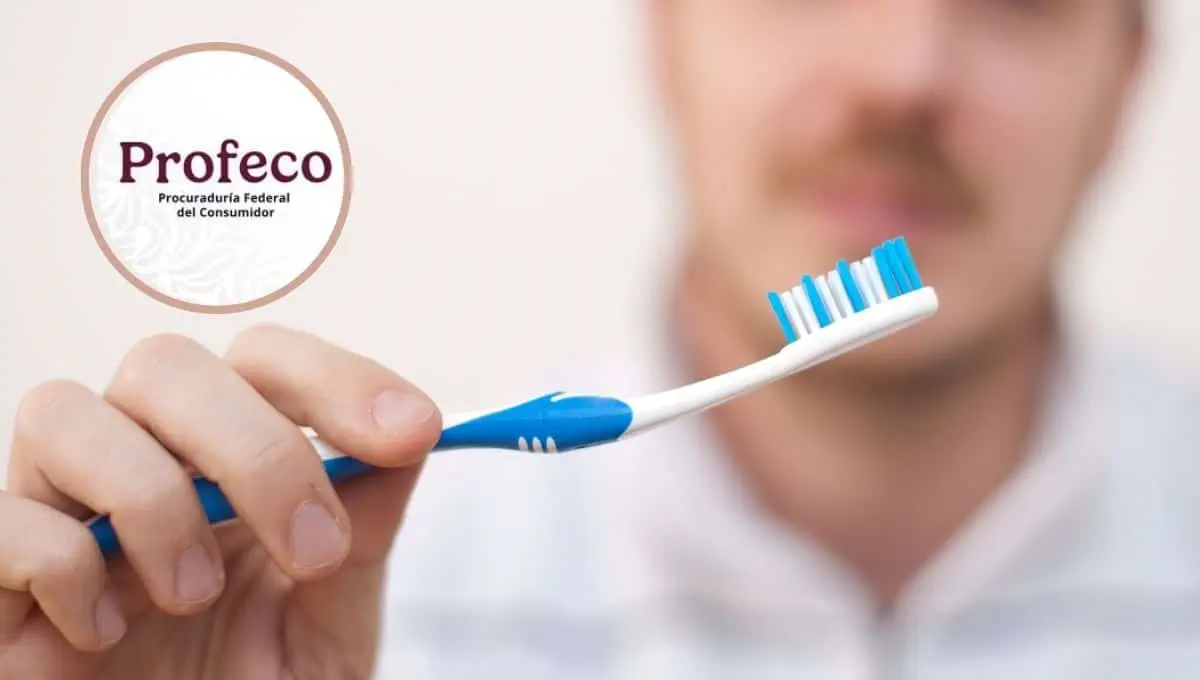 Compra estos cepillos para cuidar tus dientes / Pexels