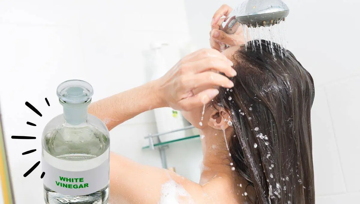 Descubre cómo mantener tu cabello saludable / Canva