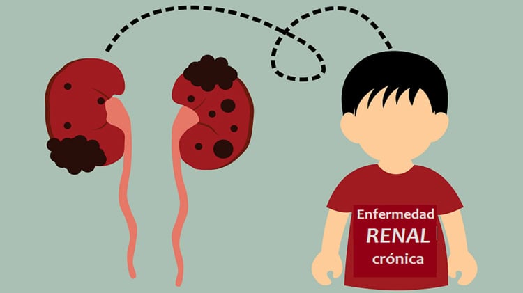 imagen-cuerpo