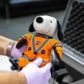 NASA lanza concurso global para diseñar un peluche que viajará a la Luna con Artemis II