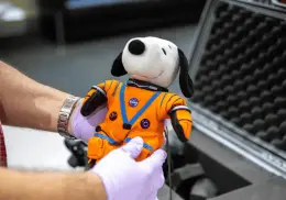 NASA lanza concurso global para diseñar un peluche que viajará a la Luna con Artemis II
