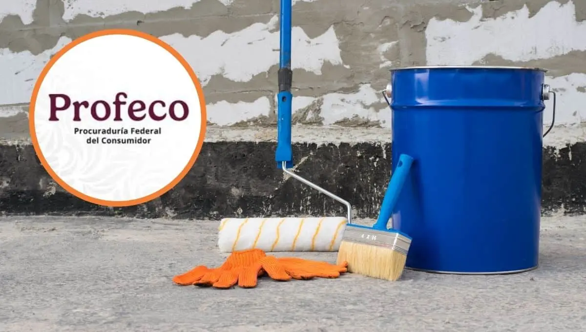 Mantén tus ambientes secos con este producto / Canva