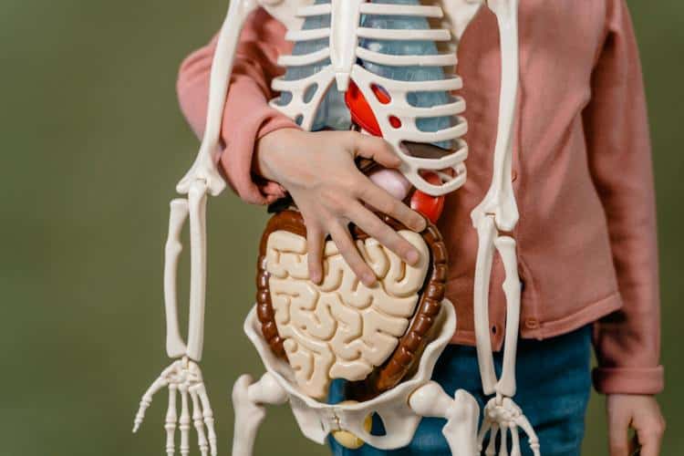 imagen-cuerpo imagen-cuerpo