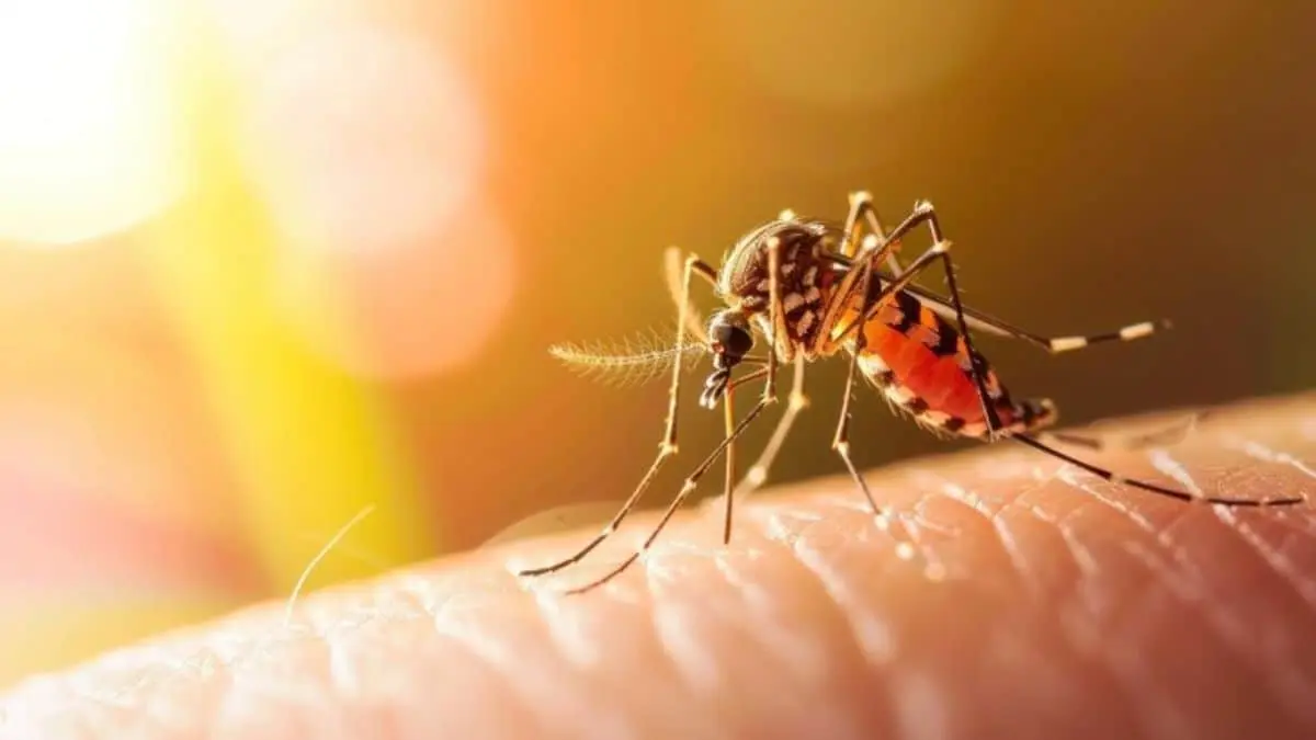 ¿Qué pasaría si desaparecieran todos los mosquitos? Esto dice la IA sobre su importancia
