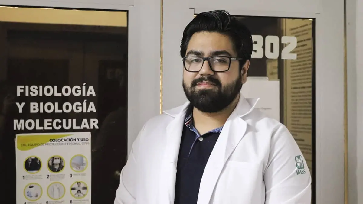 Investigan leguminosa útil contra la diabetes