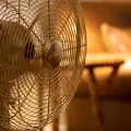 5 promociones de ventiladores que te ayudarán a sobrellevar el calor | Precios