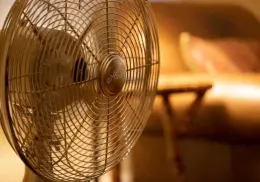 5 promociones de ventiladores que te ayudarán a sobrellevar el calor | Precios