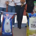Salud Municipal invita a cajemenses a sumarse a Croquetón 2025