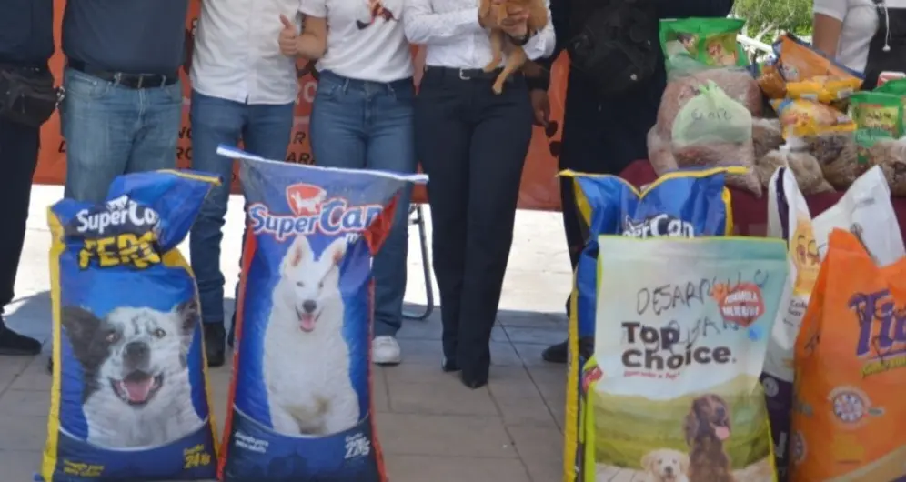 Salud Municipal invita a cajemenses a sumarse a Croquetón 2025