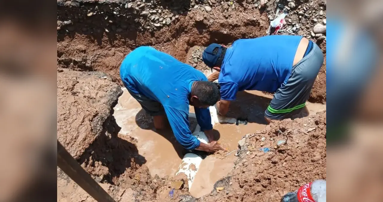 Recibe el Oomapasn decenas de reportes al día