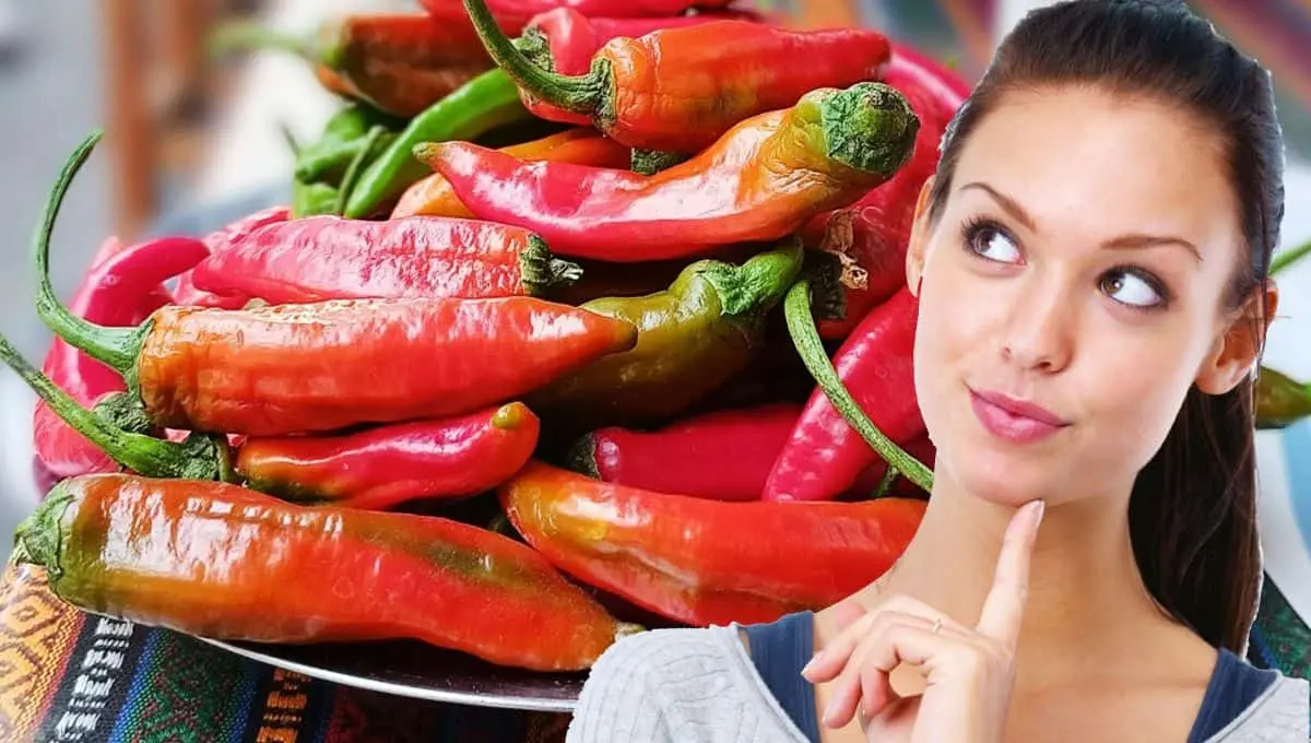Descubre qué pasa si te excedes con este tipo de comidas / Pexels, PNGWing