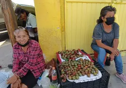 ¡Hay pitahayas!