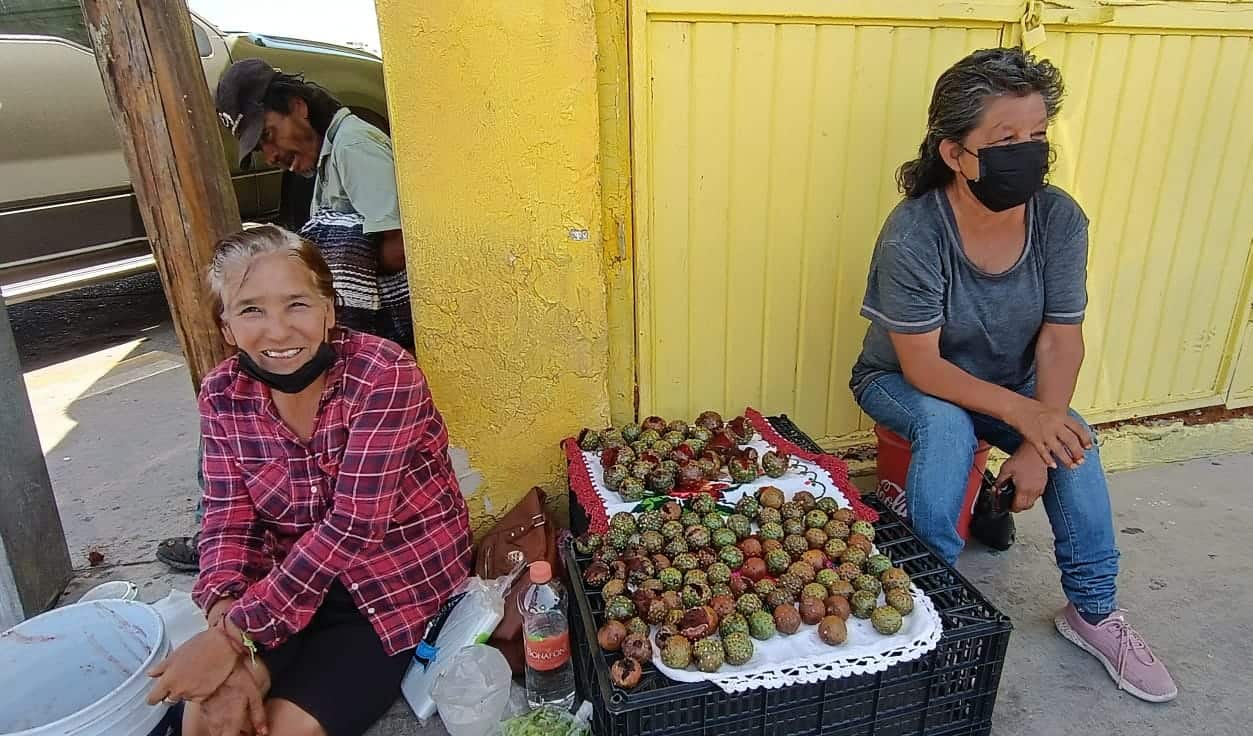 Hay pitahayas en el Mercadito Unión de Cajeme