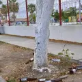 Banquetas del Parque Acuático Infantil de Navojoa son utilizadas como cantina