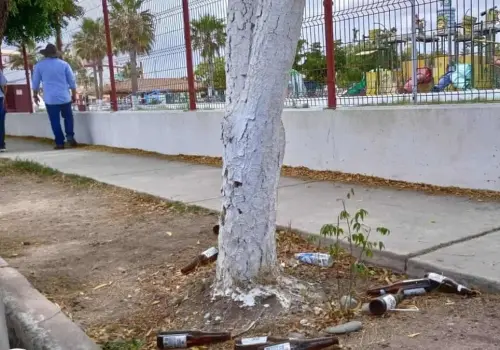 Banquetas del Parque Acuático Infantil de Navojoa son utilizadas como cantina