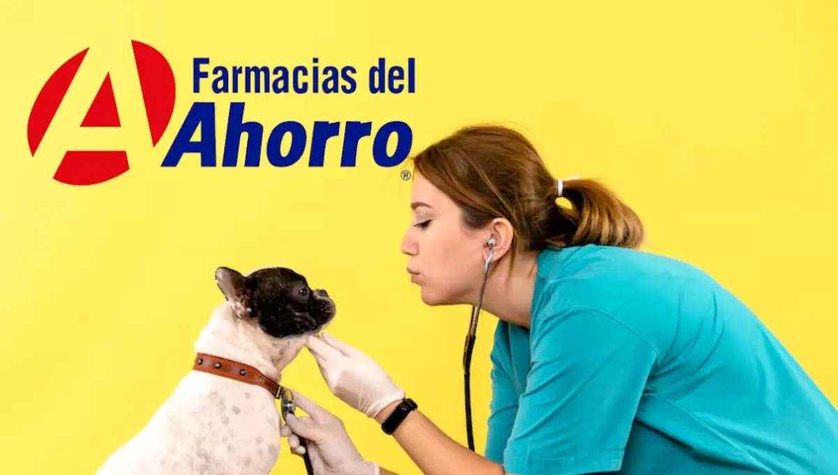 Farmacias del Ahorro ingresa al negocio de las mascotas. Foto: Original