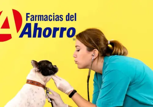 Farmacias del Ahorro ingresa al negocio de las mascotas; aquí todos los detalles