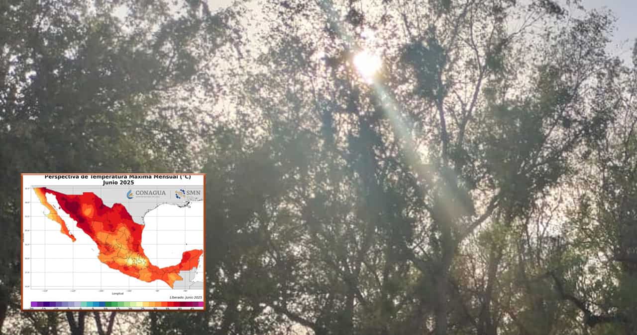 Calor imparable en Sonora: se esperan más de 46°C; en este horario aumentará la sensación térmica