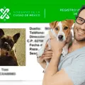 RUAC: ¿De cuánto es la multa en la Ciudad de México por no registrar a tu mascota?