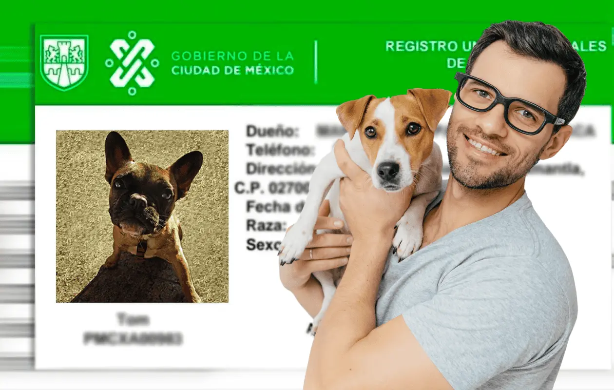 Conoce de cuánto es la multa si no se cumple este requisito.