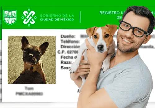 RUAC: ¿De cuánto es la multa en la Ciudad de México por no registrar a tu mascota?