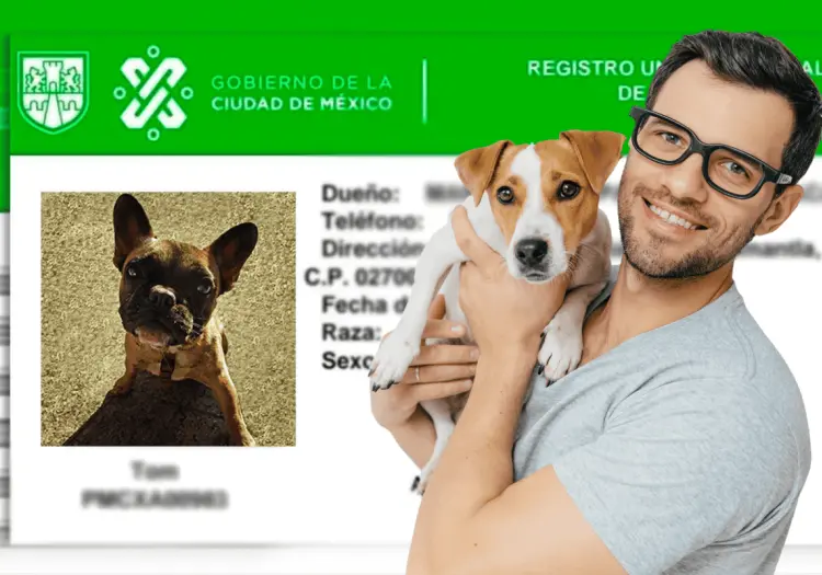 RUAC: ¿De cuánto es la multa en la Ciudad de México por no registrar a tu mascota?