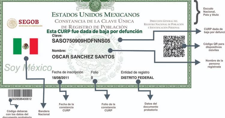 imagen-cuerpo imagen-cuerpo