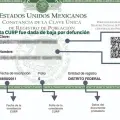 ¿Por qué es importante dar de baja la CURP de una persona fallecida y cómo hacerlo?