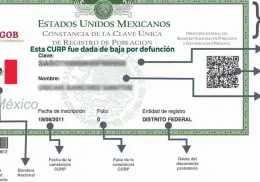 ¿Por qué es importante dar de baja la CURP de una persona fallecida y cómo hacerlo?